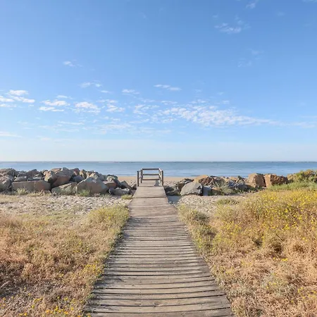 Haraganes * Ayamonte
